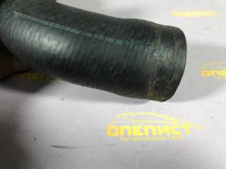 Патрубок системы охлаждения Omega B X25DT Патрубок системы охлаждения Omega B X25DT