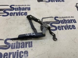 Петля капота передняя правая Subaru Outback 2006
