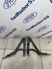 Петля крышки багажника Ford Focus 2 2005-2011